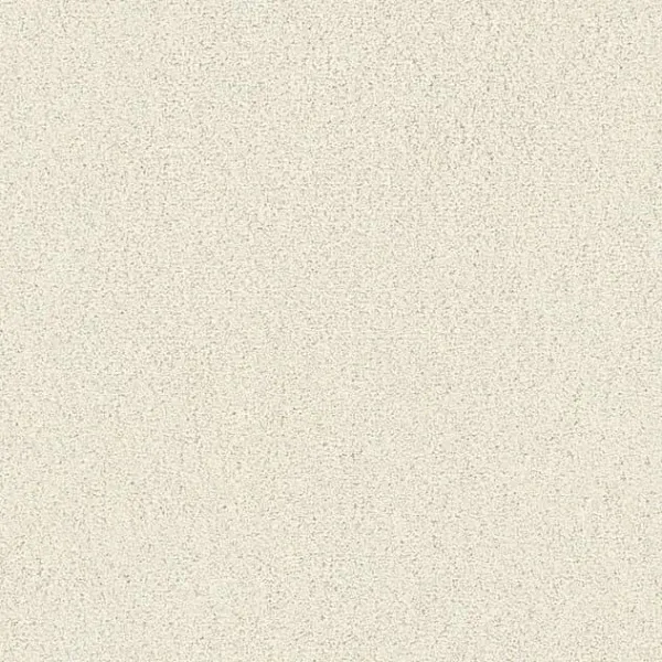 Draufsicht Girloon TWIN Teppichboden Velours 810 Hellbeige, 2/4 m breit